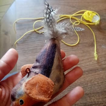 Lypora Sitesinden Gelen Oyuncak Hayal Kırıklığı