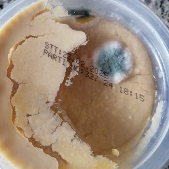 Bozuk Ürünler Ve Yanlış Saklama Koşulları