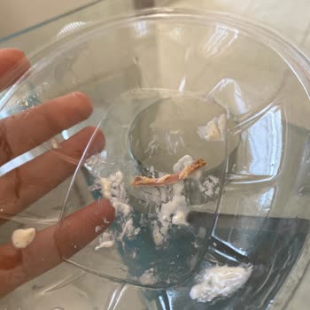 Düşük Kalite Ve Küçük Porsiyon Sorunu