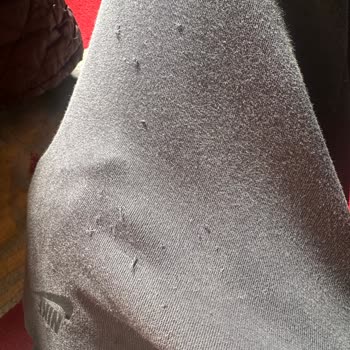 Nike Ürün Kalitesinde Hayal Kırıklığı