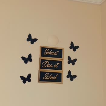 Polisan Boyası İle Yaşadığım Hayal Kırıklığı Ve Mağduriyet