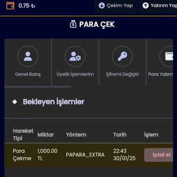 Wisaroyal Sitesinde Çekim Sorunları Ve Güvenilirlik Endişesi