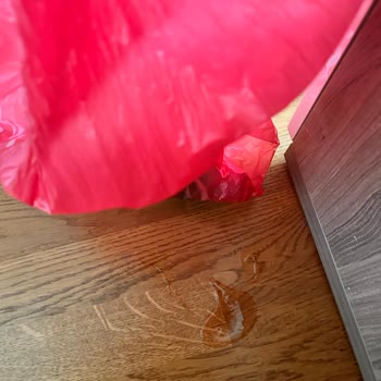 Yemeksepeti Market Sipariş Felaketi: Dökülen Ürünler Ve İletişim Sorunları