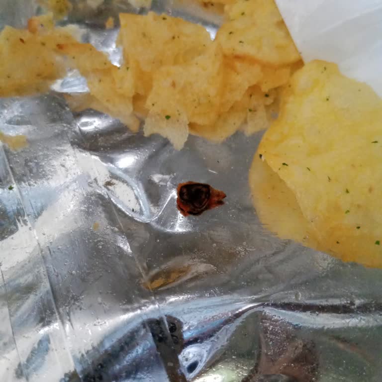 Cips Paketinde Beklenmedik Yabancı Madde
