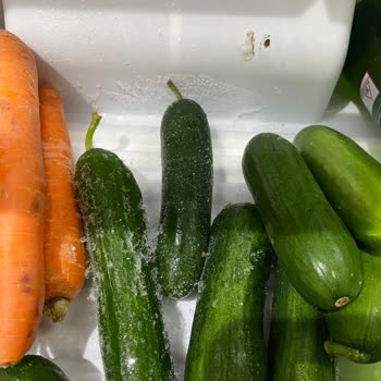 Bosch Buzdolabı İle Bitmeyen Donma Sorunu