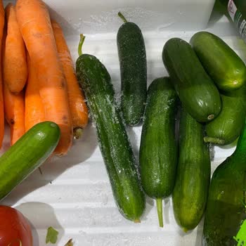 Bosch Buzdolabı İle Bitmeyen Donma Sorunu