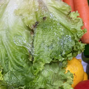 Bosch Buzdolabı İle Bitmeyen Donma Sorunu