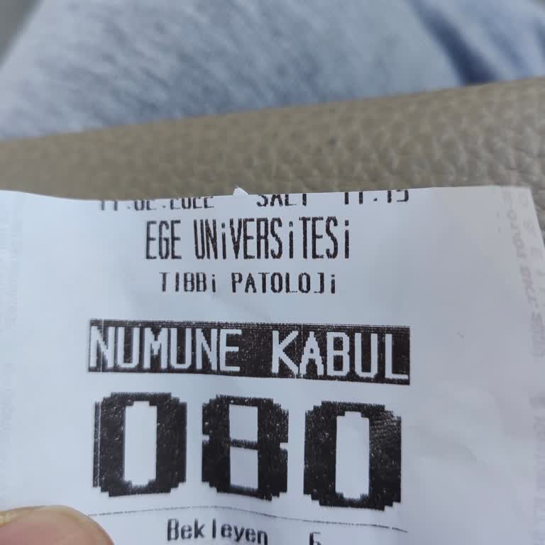 Tıbbi Patoloji Bölümünde İlgisizlik Ve Moral Bozukluğu