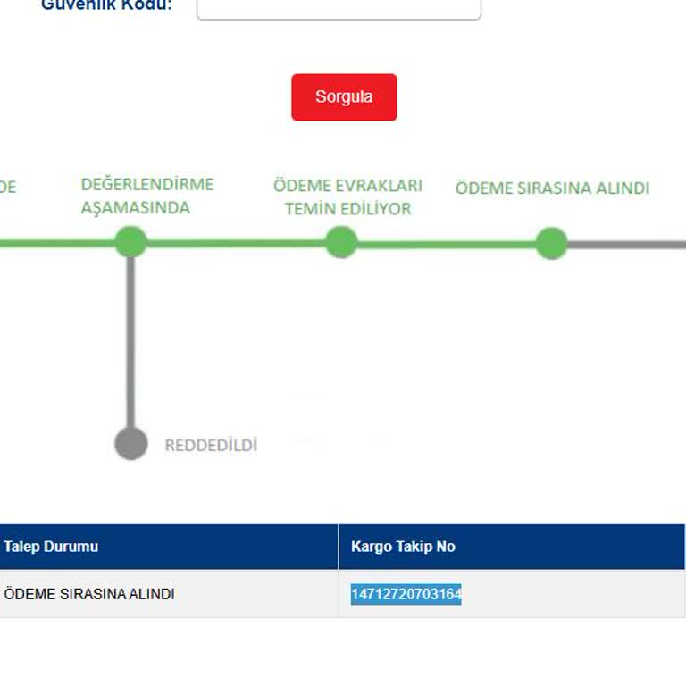 Sürat Kargo'nun Kayıp Kargo Ve Geciken Tazminat Süreci