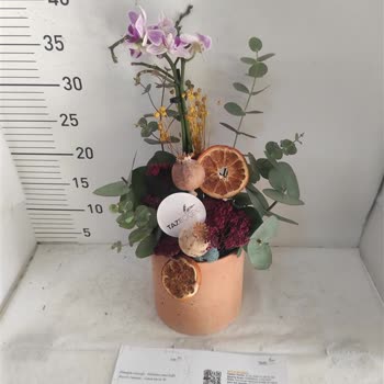 Yanlış Ürün Ve Yetersiz Hizmet