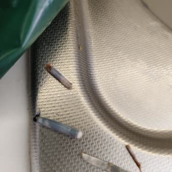 Tavuk Ürününde Beklenmedik Parçalar: Acil Çözüm Talebi