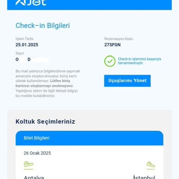 Ajet Firmasıyla Yaşanan Check-in Kabusu Ve Maddi Kayıp