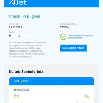 Ajet Firmasıyla Yaşanan Check-in Kabusu Ve Maddi Kayıp