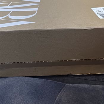 Kayıp Mont Ve Zara'nın İlgisizliği