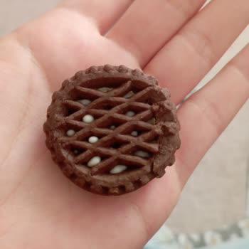 Bozuk Bisküvi Deneyimi