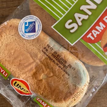 Küflü Tam Buğday Ekmekleri: Sağlık Ve Maddi Zarar