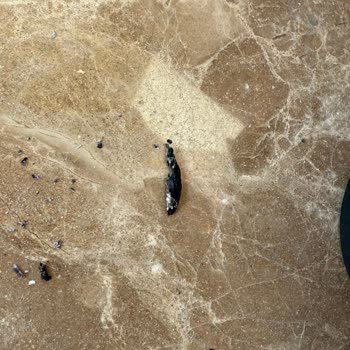 Parliament Night Blue: Boşluklu Paketler Ve Odun Parçaları