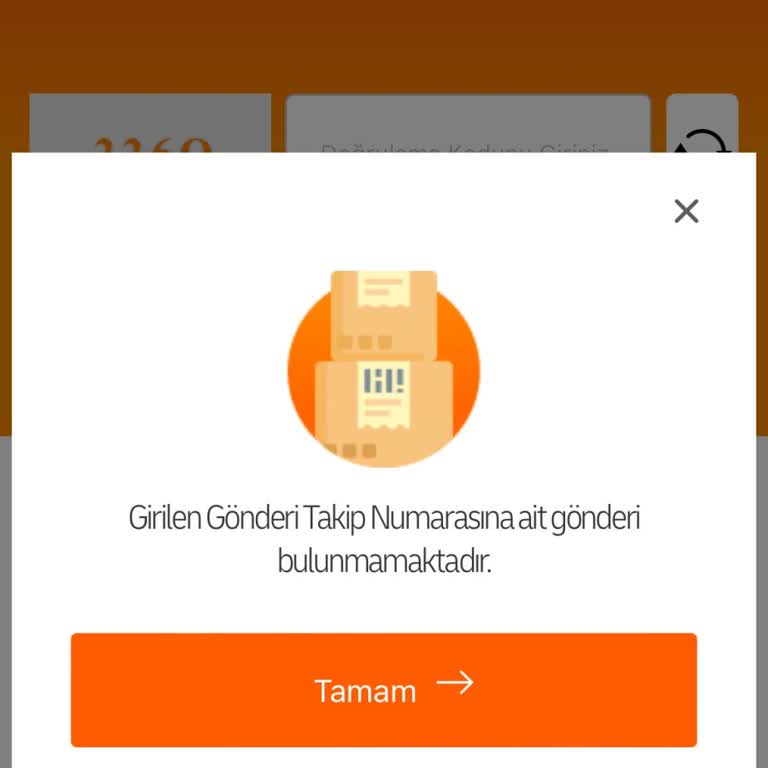 Kayıp Kargo: Trendyol Ve MNG Kargo Arasında Bilgi Eksikliği