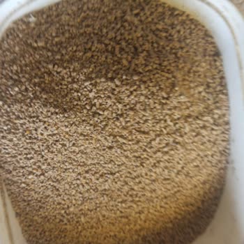 Yem Kalitesinde Tekrarlayan Sorunlar Ve Müşteri Hizmetleri Eksikliği