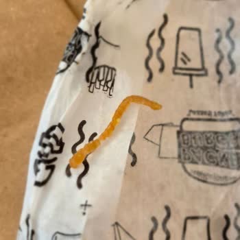 Yemeksepeti Siparişimde Hayal Kırıklığı