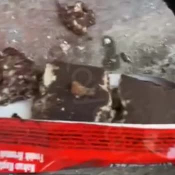 Torku İçinden Taş Çıktı!