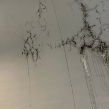 İzmir Metro İstasyonlarında Bakım Eksikliği Ve Güvenlik Sorunları