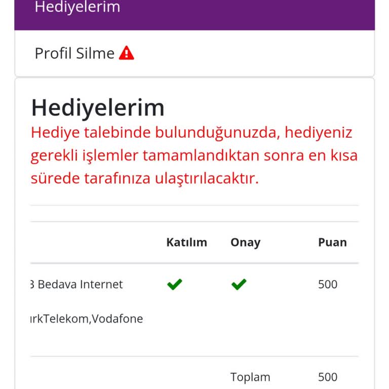İnternet Yüklenme Sorunu Ve Geciken Hediye Teslimatı