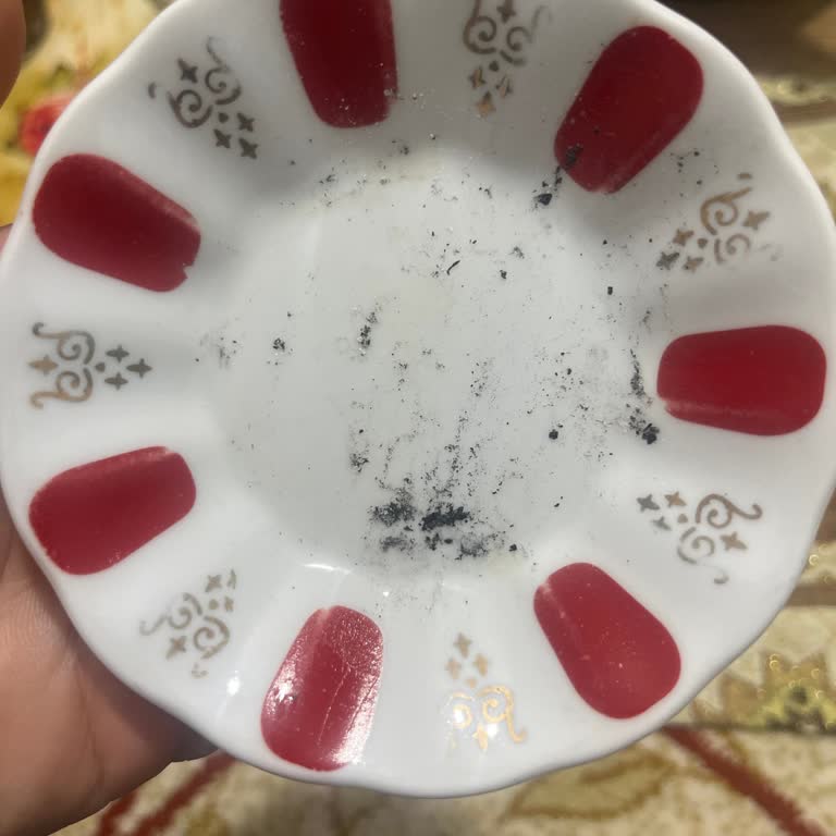 Altus Bulaşık Makinesi Performans Sorunu