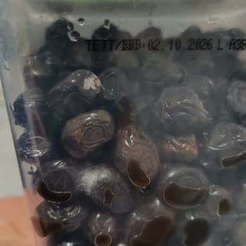 Tukaş Küflü Zeytin Ve İade Sorunu