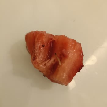 Dondurulmuş Meyvelerde Kurtçuk Şoku: Tüketici Mağduriyeti