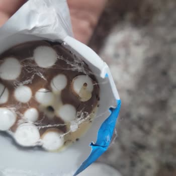 Çocuk Ürünlerinde Güvenlik İhmali: Ozmo Çikolata Olayı