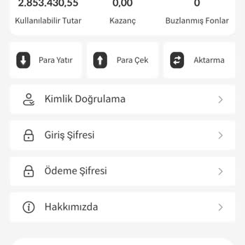 Yatırım Platformunda Karşılaşılan Sorunlar