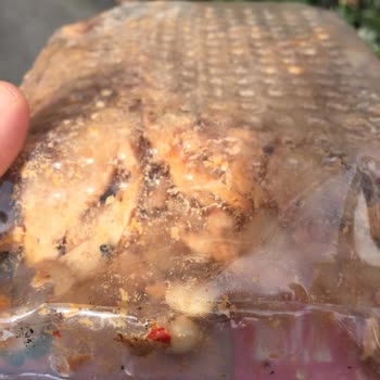 Bim Marketten Alınan Piliç Dönerde Kuru Fasulye Sürprizi