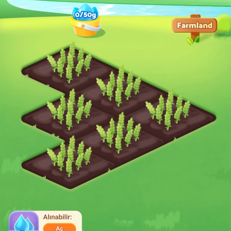 Emeklerim Boşa Gitti: Temuda Farmland Sorunu