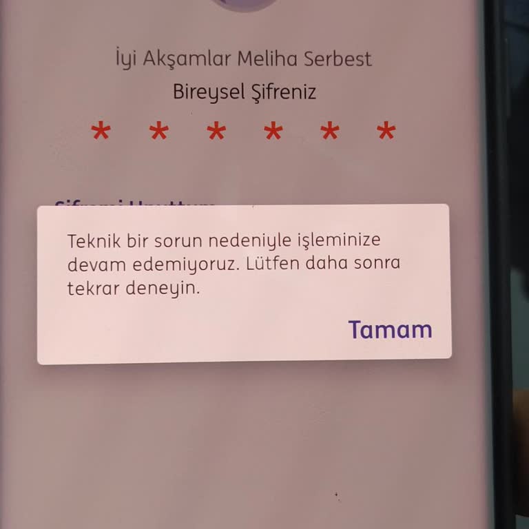 ING Mobil Bankacılık Erişim Sorunu Ve Ödeme Aksaklığı