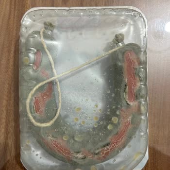 Polonez Sucukta Beklenmedik Küflenme Sorunu