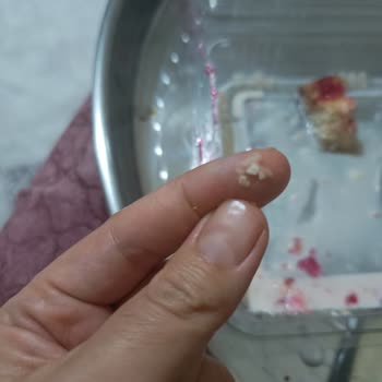 Trileçede Yumurtalı Sürpriz