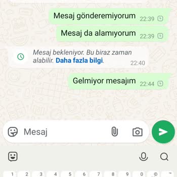 WhatsApp Mesajlaşma Sorunu Ve Acil Destek İhtiyacı