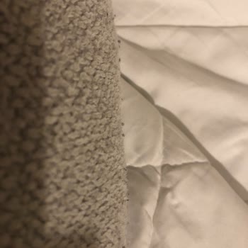 Weltew Home Koltuklarında Erken Deformasyon Sorunu