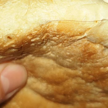 Hamburger Ekmeğinde İstenmeyen Sürpriz!