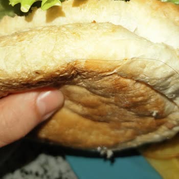 Hamburger Ekmeğinde İstenmeyen Sürpriz!