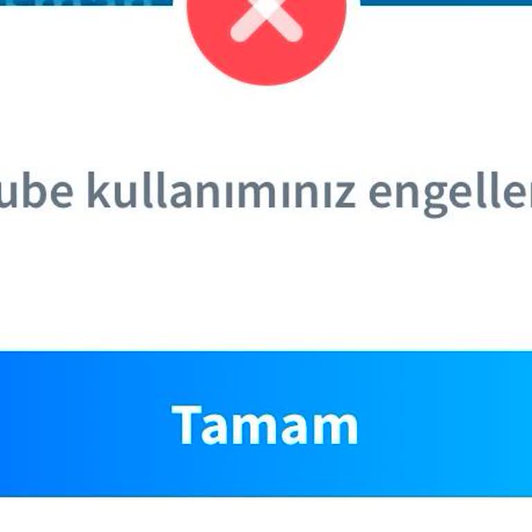 Halkbank Mobil Şube Erişim Sorunu