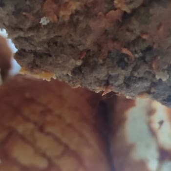 Taksim Et Ve Gıda Ürünleri: Sağlığınızı Tehlikeye Atmayın!