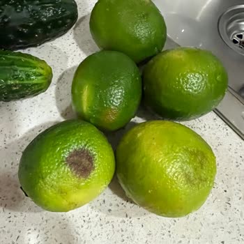 Hayal Kırıklığına Uğratan Gıda Teslimatı