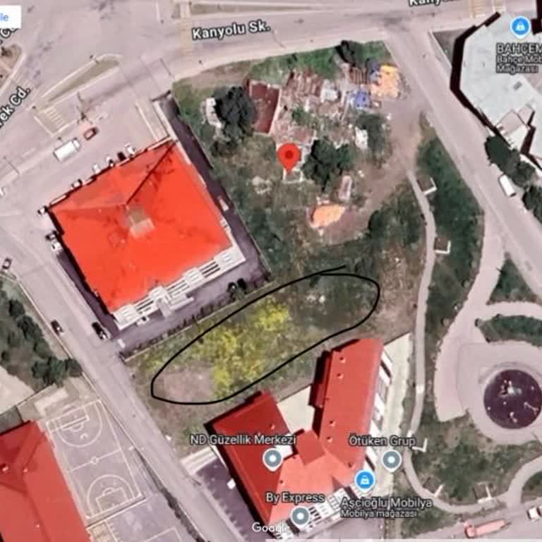 Erzurum'da Köpek Saldırısı Tehlikesi: Güvenlik Önlemleri Alınmalı