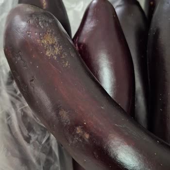 Getir Büyük'te Bozuk Ürün Ve İade Sorunu