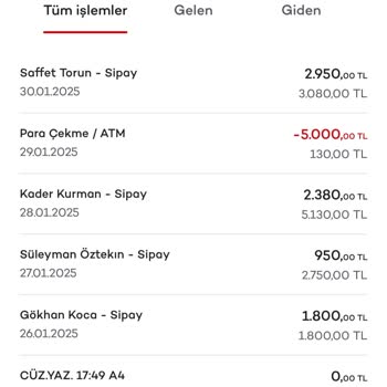 Hesap Bakiyesi Sıfırlanma Sorunu