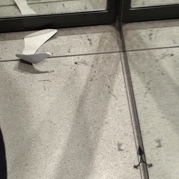 Zara Mağazasında Hijyen Sorunu: Alışveriş Deneyimi Tehlikede