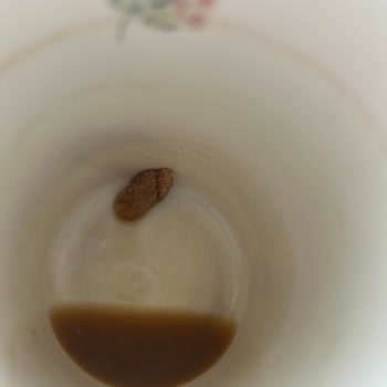 Nescafe Kahvemdeki Beklenmedik Sürpriz