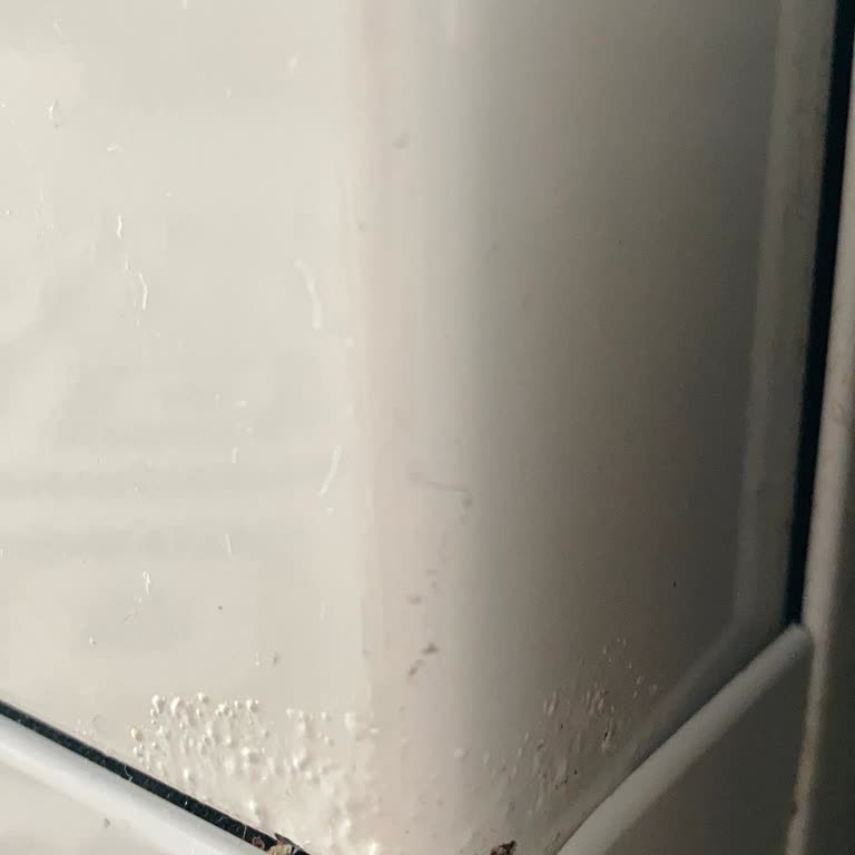 Yeni Evlilikte Çürüyen Beyaz Eşyalar